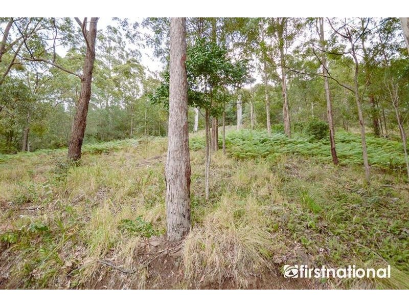 25 Sumba Court, Tamborine Mountain QLD 4272
