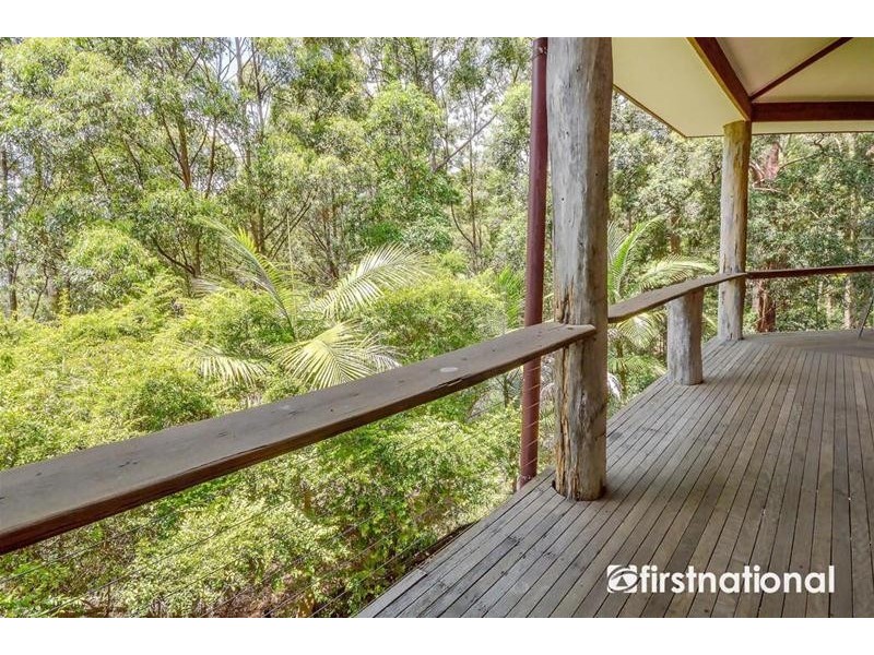 Tamborine Mountain QLD 4272