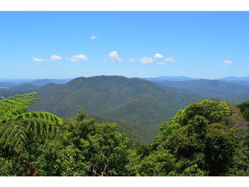50  Coomera Gorge Drive, Tamborine Mountain QLD 4272