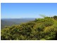 50  Coomera Gorge Drive, Tamborine Mountain QLD 4272