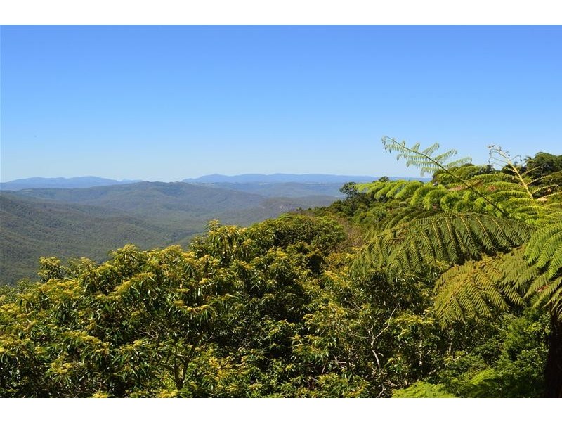 50  Coomera Gorge Drive, Tamborine Mountain QLD 4272