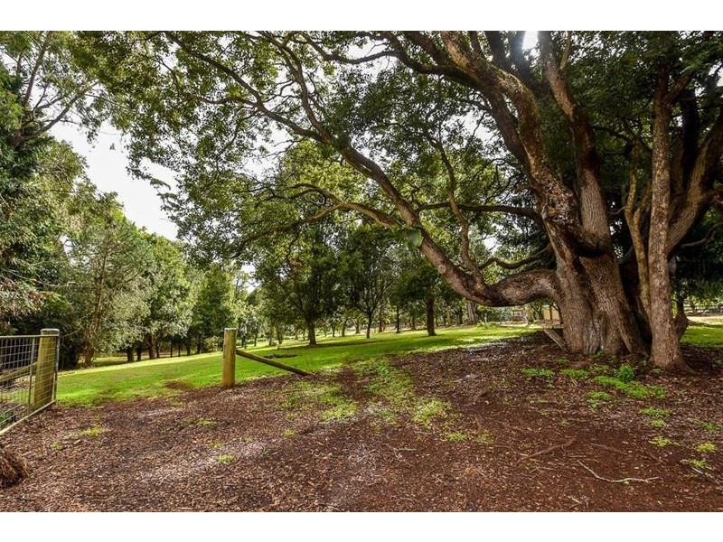 80-82 Benowa Street, Tamborine Mountain QLD 4272