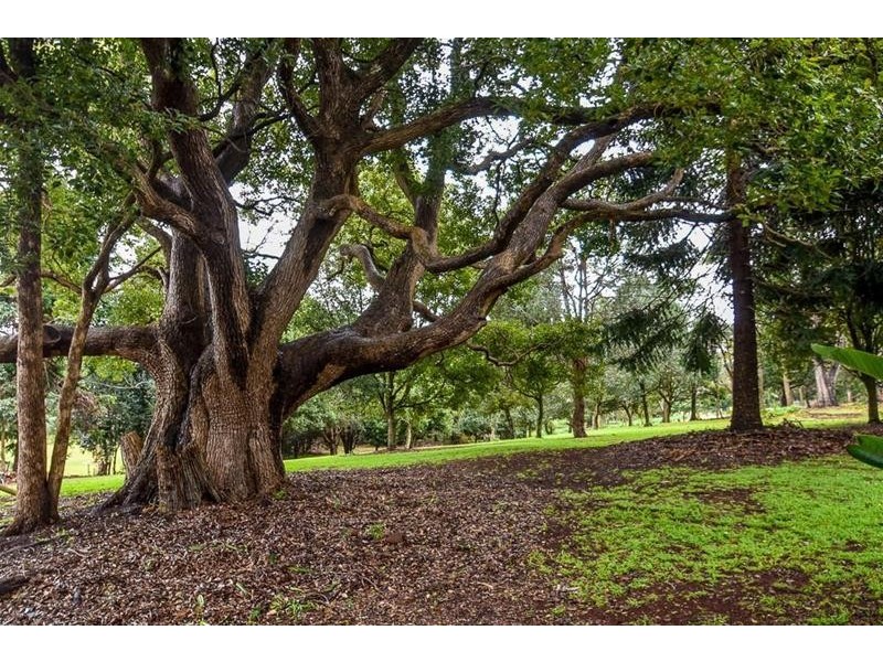 80-82 Benowa Street, Tamborine Mountain QLD 4272