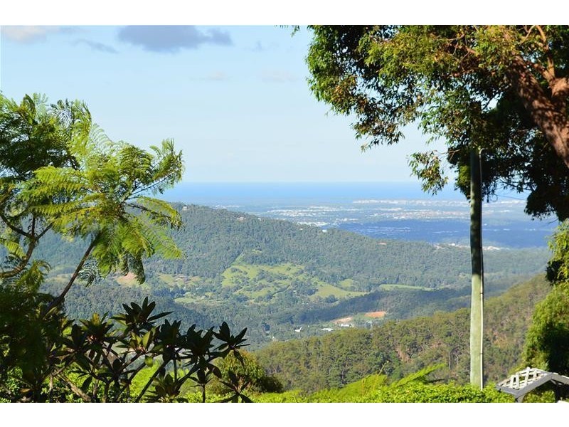 13 Orchis Drive, Tamborine Mountain QLD 4272