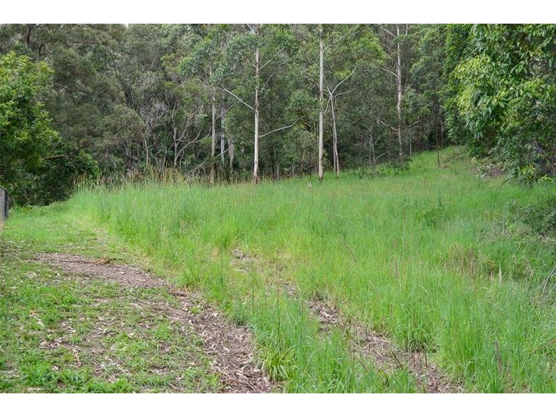 13 Ambon Court, Tamborine Mountain QLD 4272