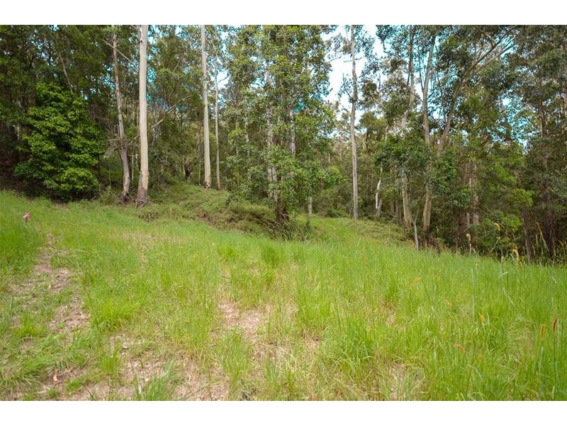 13 Ambon Court, Tamborine Mountain QLD 4272