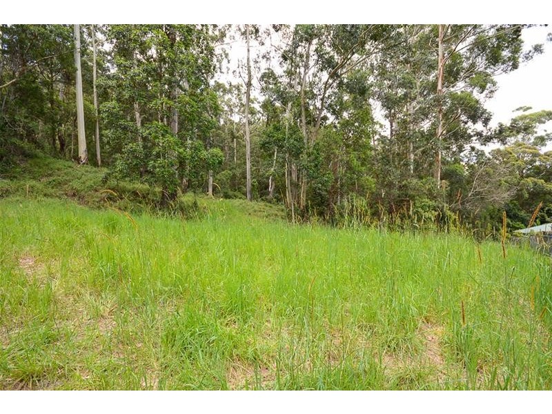 13 Ambon Court, Tamborine Mountain QLD 4272