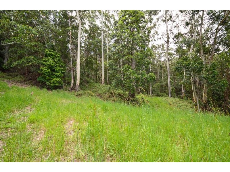 13 Ambon Court, Tamborine Mountain QLD 4272