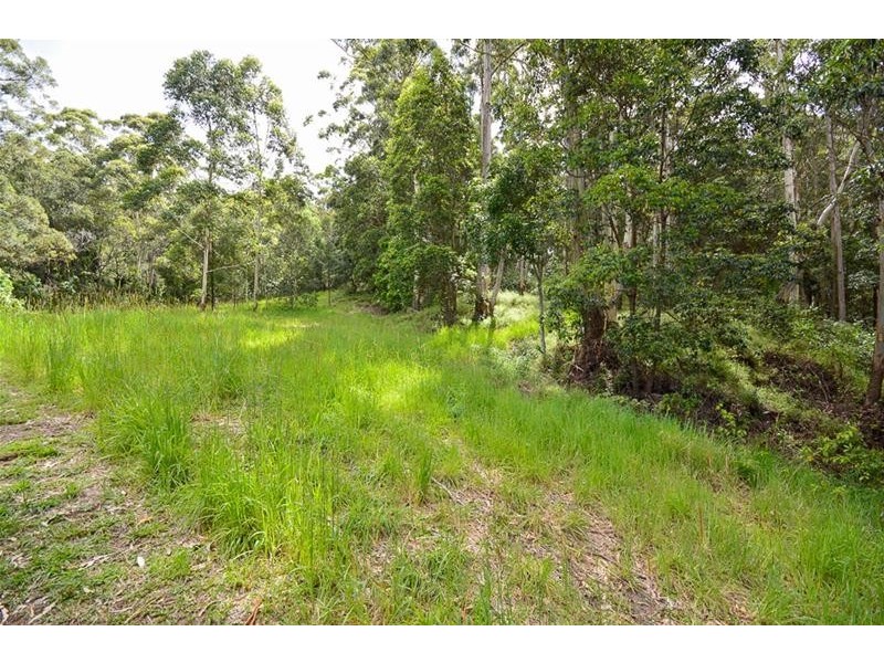 13 Ambon Court, Tamborine Mountain QLD 4272