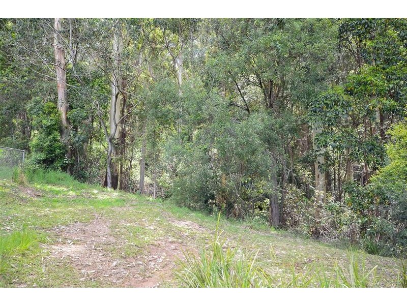 13 Ambon Court, Tamborine Mountain QLD 4272