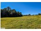901/217 Long Road, Tamborine Mountain QLD 4272