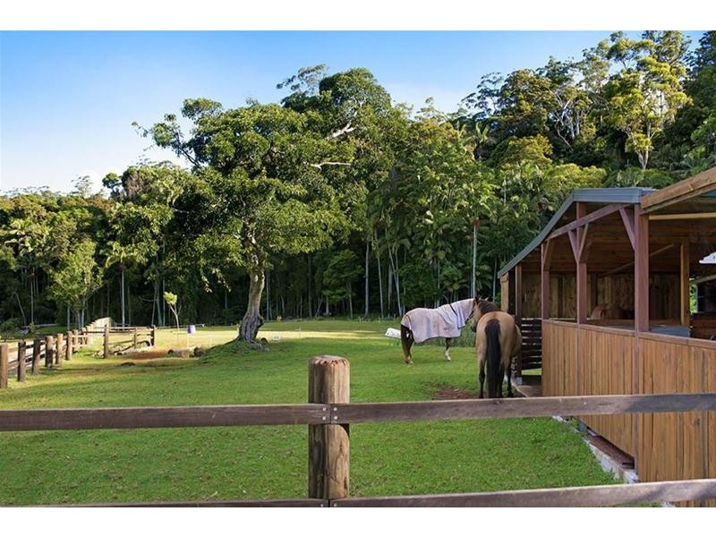 107 The Shelf Road, Tamborine Mountain QLD 4272