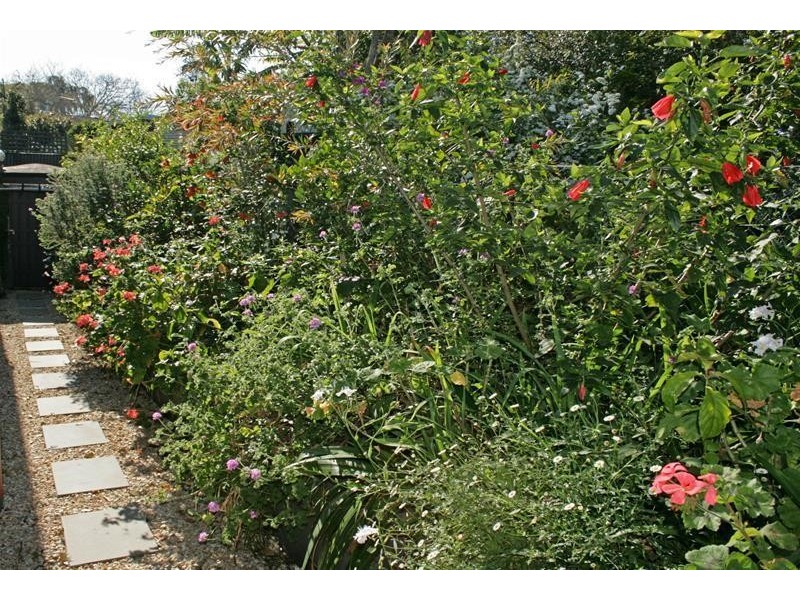 18 Central Avenue, Tamborine Mountain QLD 4272