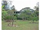 71 Hazel Road, Tamborine QLD 4270