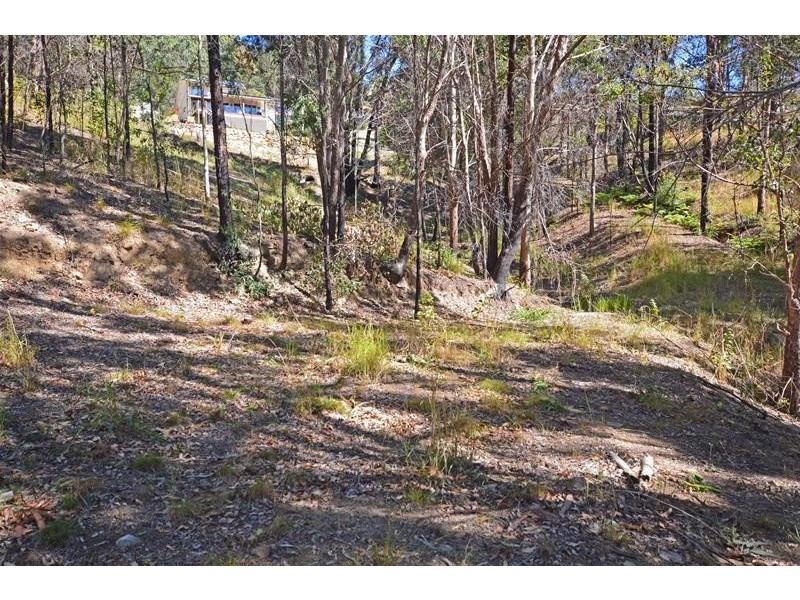 Tamborine Mountain QLD 4272