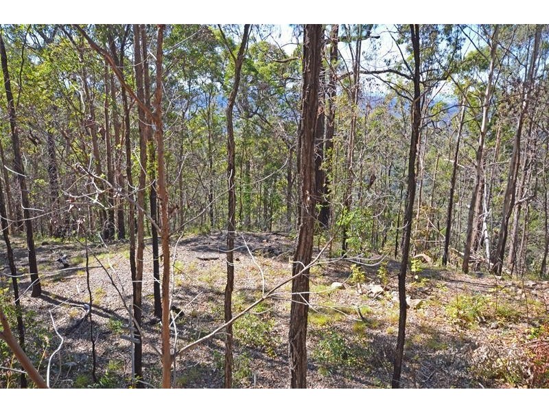 Tamborine Mountain QLD 4272