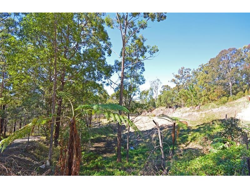 Tamborine Mountain QLD 4272