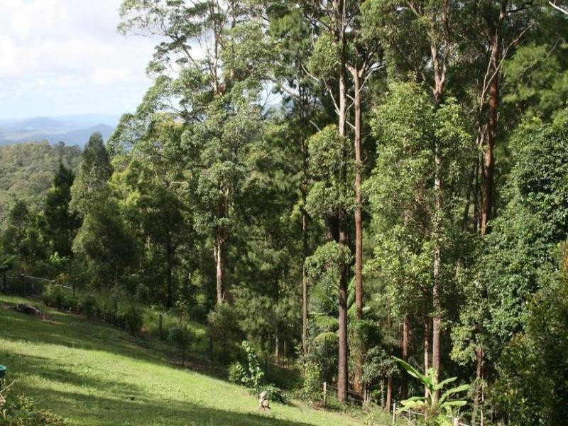 185 Wongawallan Road, Eagle Heights QLD 4271