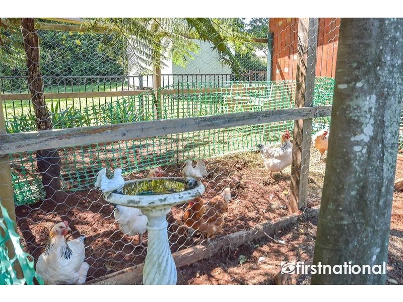 Tamborine Mountain QLD 4272