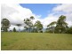 59 Wilson Road, Tamborine Mountain QLD 4272