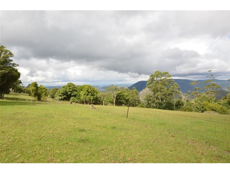 59 Wilson Road, Tamborine Mountain QLD 4272