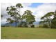 59 Wilson Road, Tamborine Mountain QLD 4272
