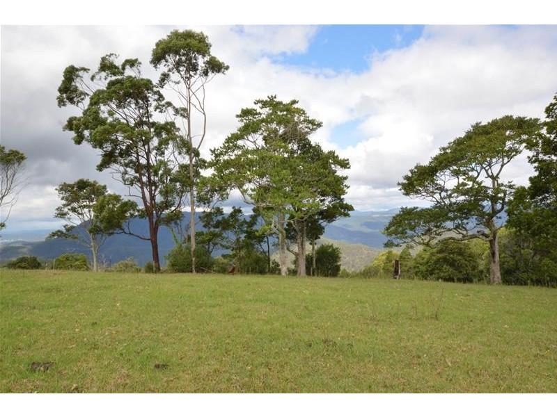 59 Wilson Road, Tamborine Mountain QLD 4272