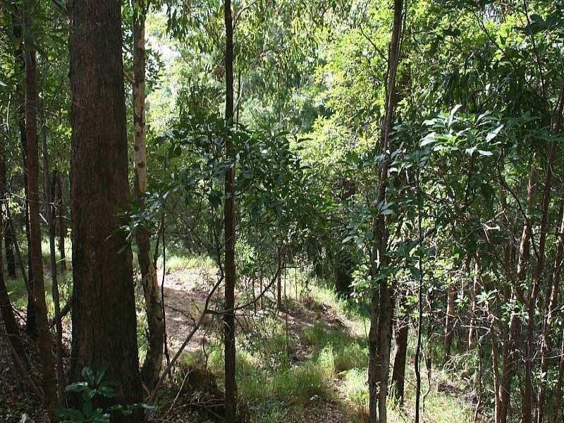 450 Henri Robert Drive, Tamborine Mountain QLD 4272