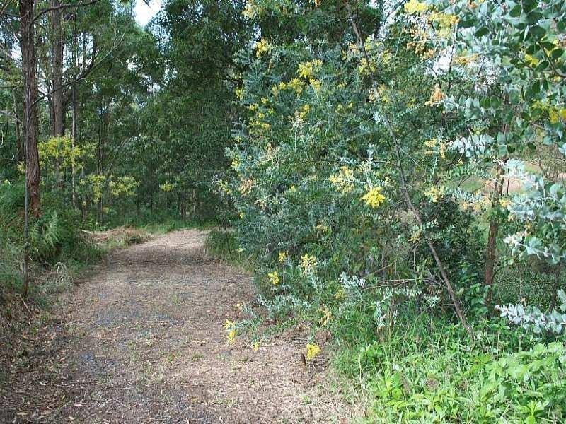 450 Henri Robert Drive, Tamborine Mountain QLD 4272