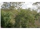 44 Kinabalu Drive, Tamborine Mountain QLD 4272