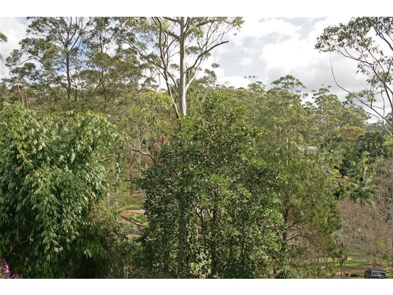 44 Kinabalu Drive, Tamborine Mountain QLD 4272