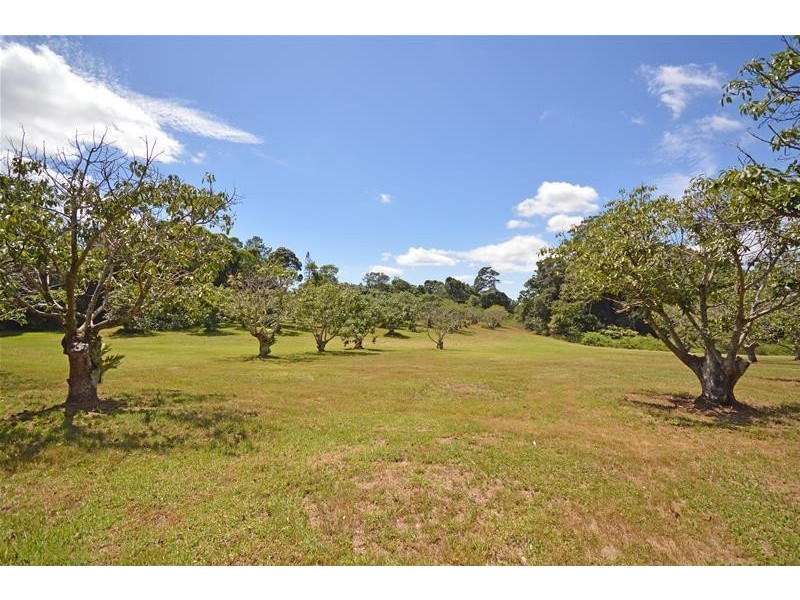 129 Curtis Road, Tamborine Mountain QLD 4272