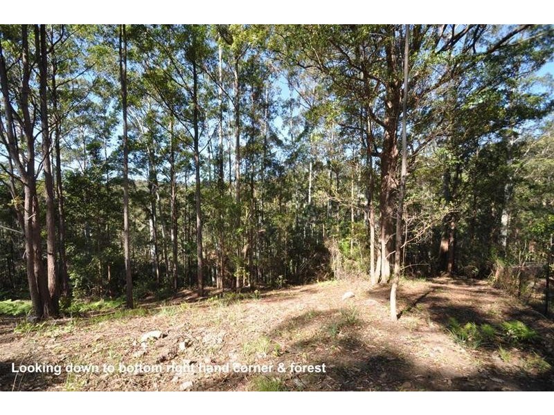 3 Orchis Drive, Tamborine Mountain QLD 4272