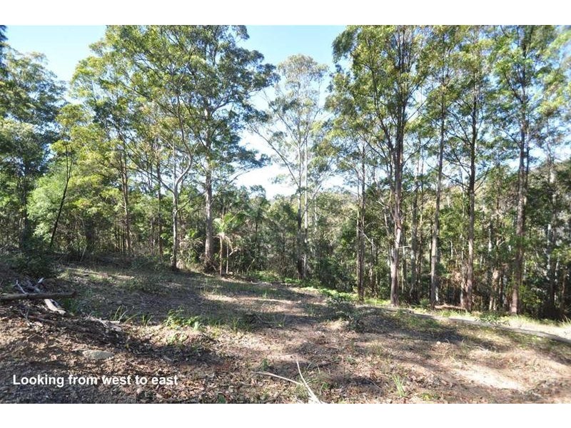 3 Orchis Drive, Tamborine Mountain QLD 4272