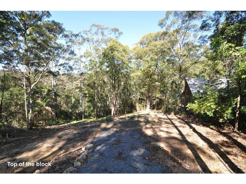 3 Orchis Drive, Tamborine Mountain QLD 4272