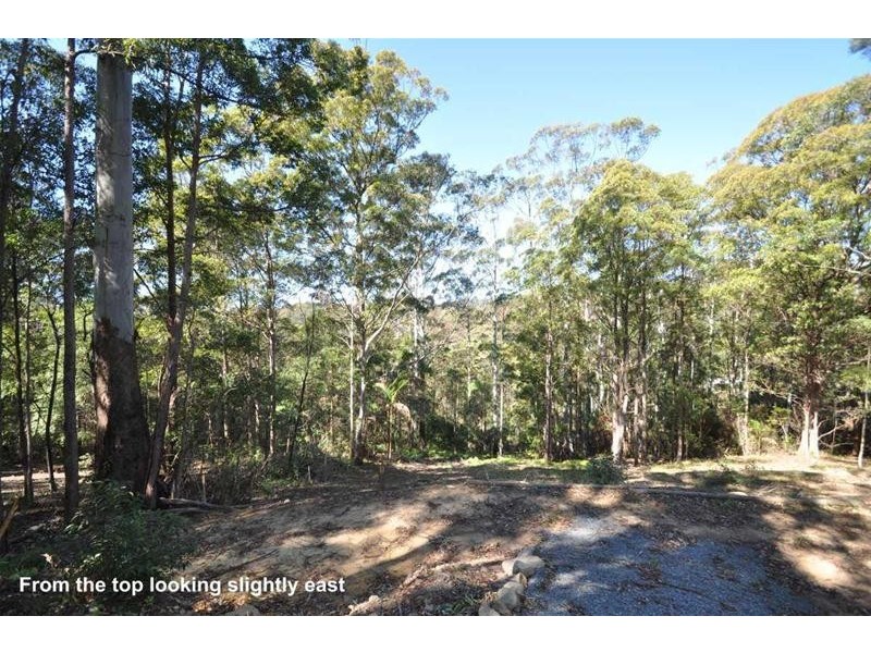 3 Orchis Drive, Tamborine Mountain QLD 4272