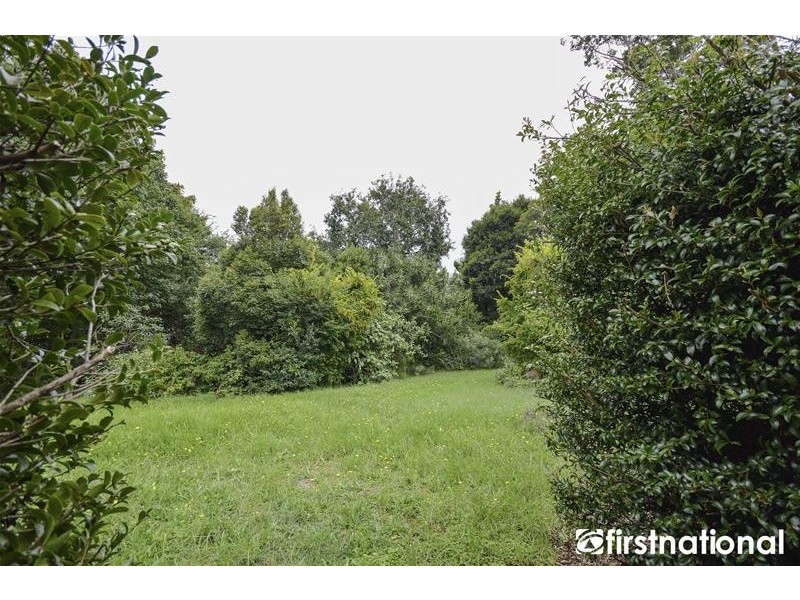 Tamborine Mountain QLD 4272