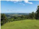 491 Main Western Road, Tamborine Mountain QLD 4272