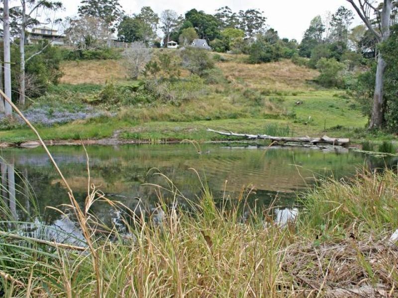 91 Wongawallan Road, Eagle Heights QLD 4271