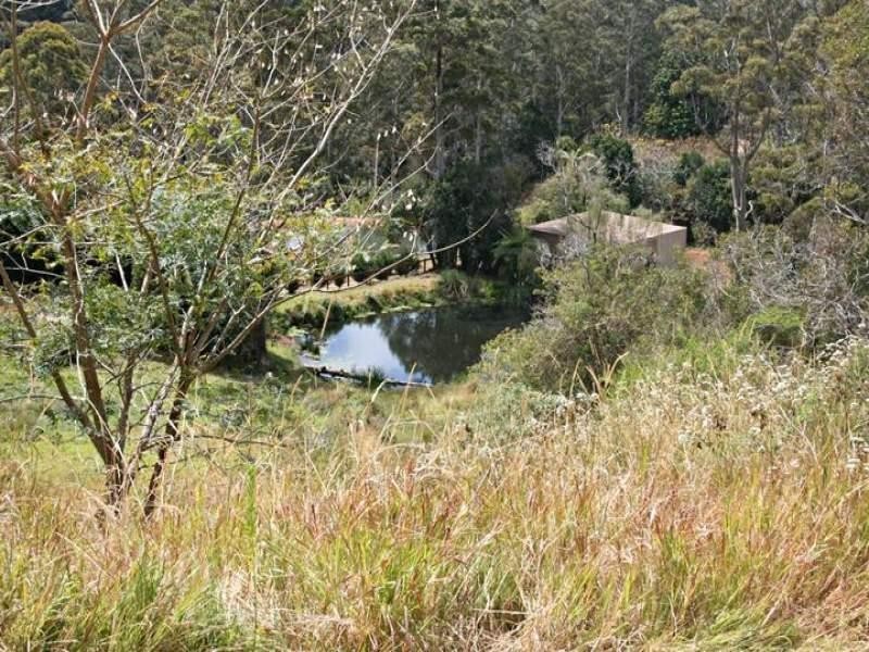 91 Wongawallan Road, Eagle Heights QLD 4271