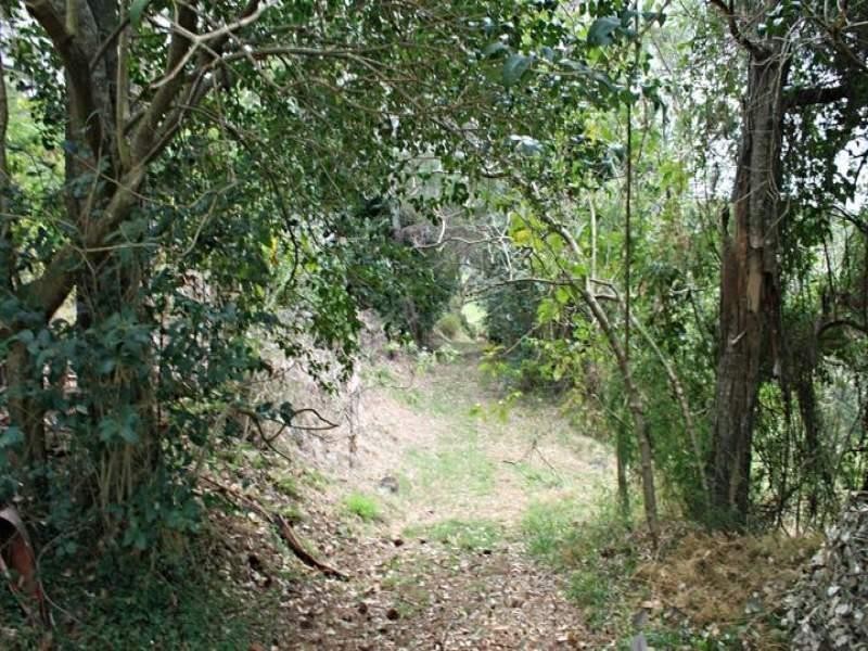 91 Wongawallan Road, Eagle Heights QLD 4271