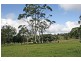 Tamborine Mountain QLD 4272