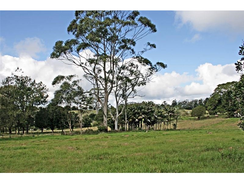 Tamborine Mountain QLD 4272