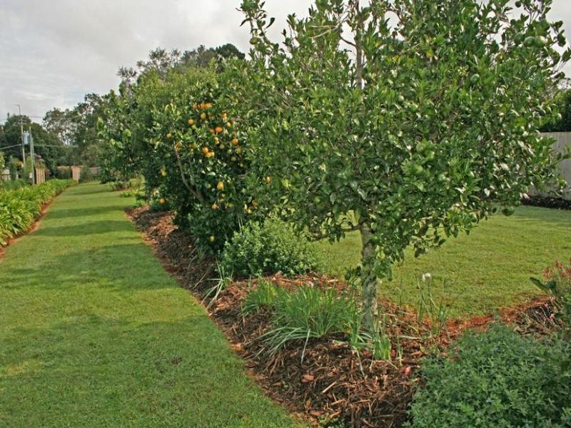 266 Long Road, North Tamborine QLD 4272