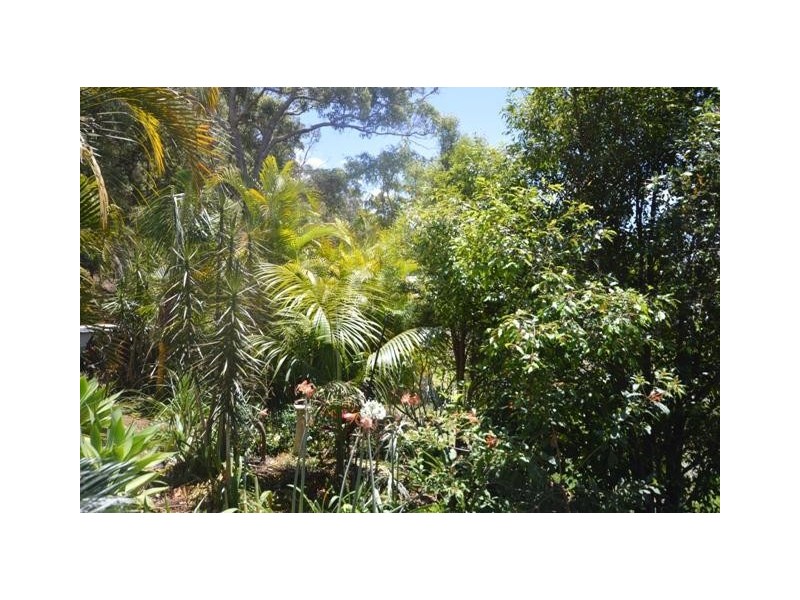 Tamborine Mountain QLD 4272