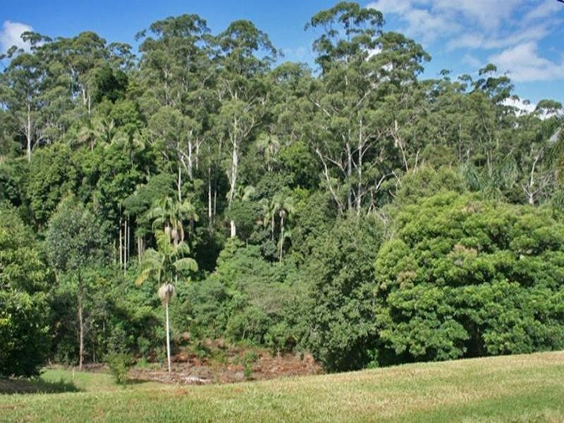 6 Long Road, Eagle Heights QLD 4271