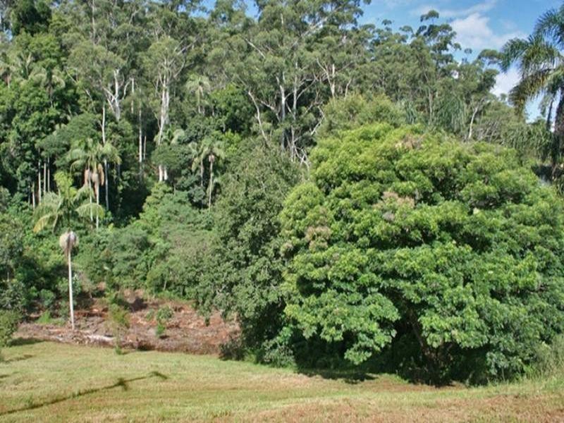 6 Long Road, Eagle Heights QLD 4271