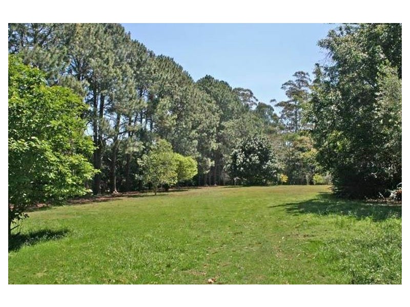 170 Alpine Terrace, Tamborine Mountain QLD 4272