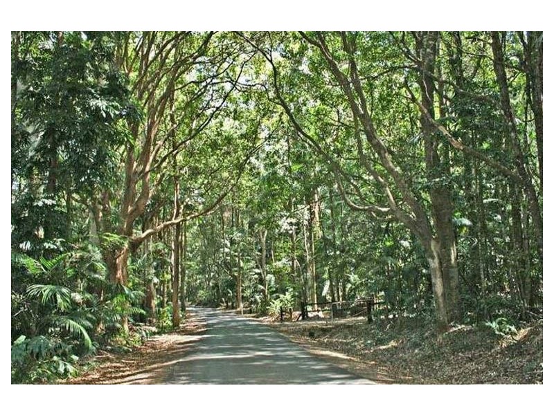 170 Alpine Terrace, Tamborine Mountain QLD 4272