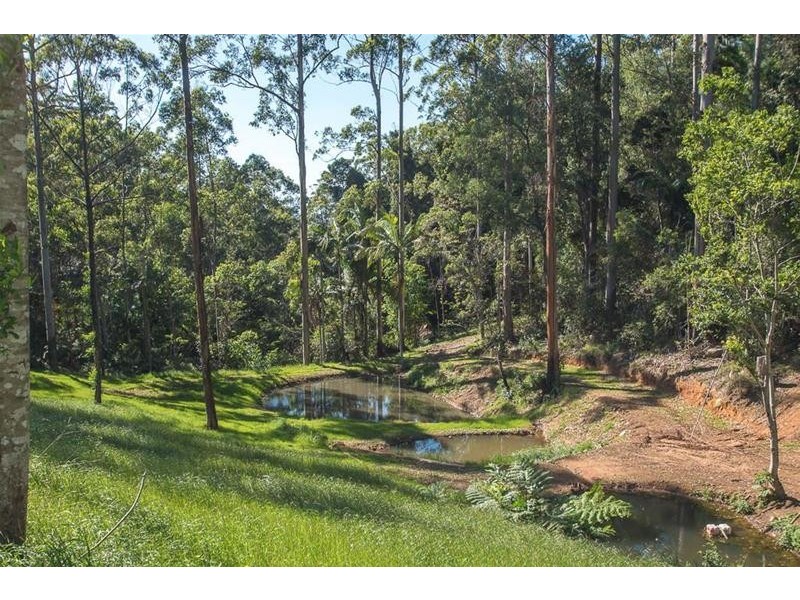 7 Central Avenue, Tamborine Mountain QLD 4272